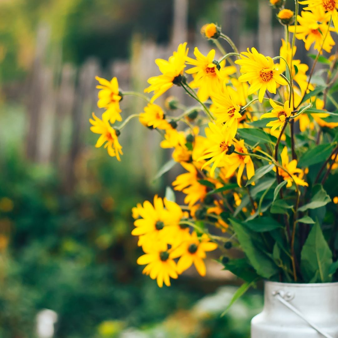 Wild yellow flowers in a vase, bouquet on street